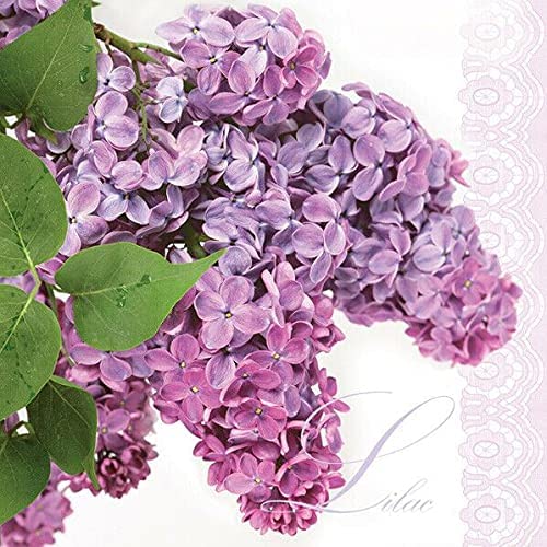 Flowers Paper Luncheon Napkins 20 Pack #5053