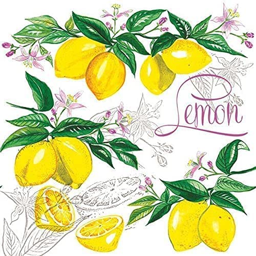 Fruit Paper Luncheon Napkins 20 Pack 13 x 13