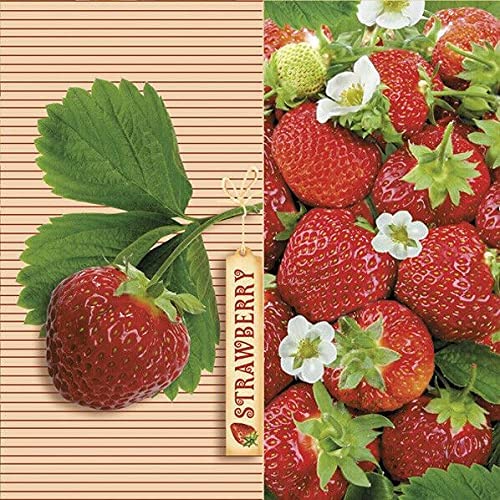 Fruit Paper Luncheon Napkins 20 Pack #6010