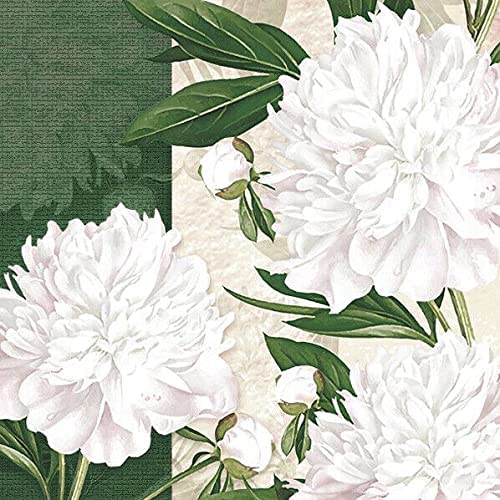 Flowers Paper Luncheon Napkins 20 Pack #5057