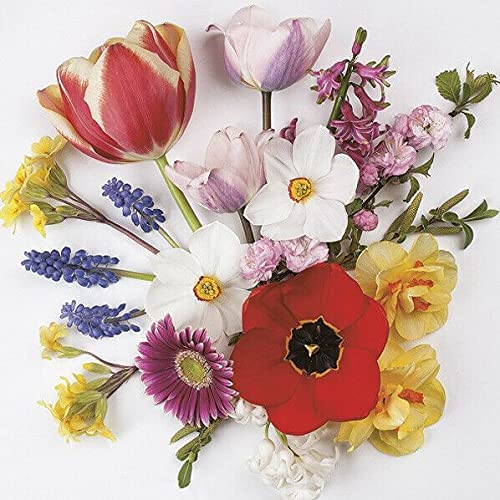 Flowers Paper Luncheon Napkins 20 Pack #5054