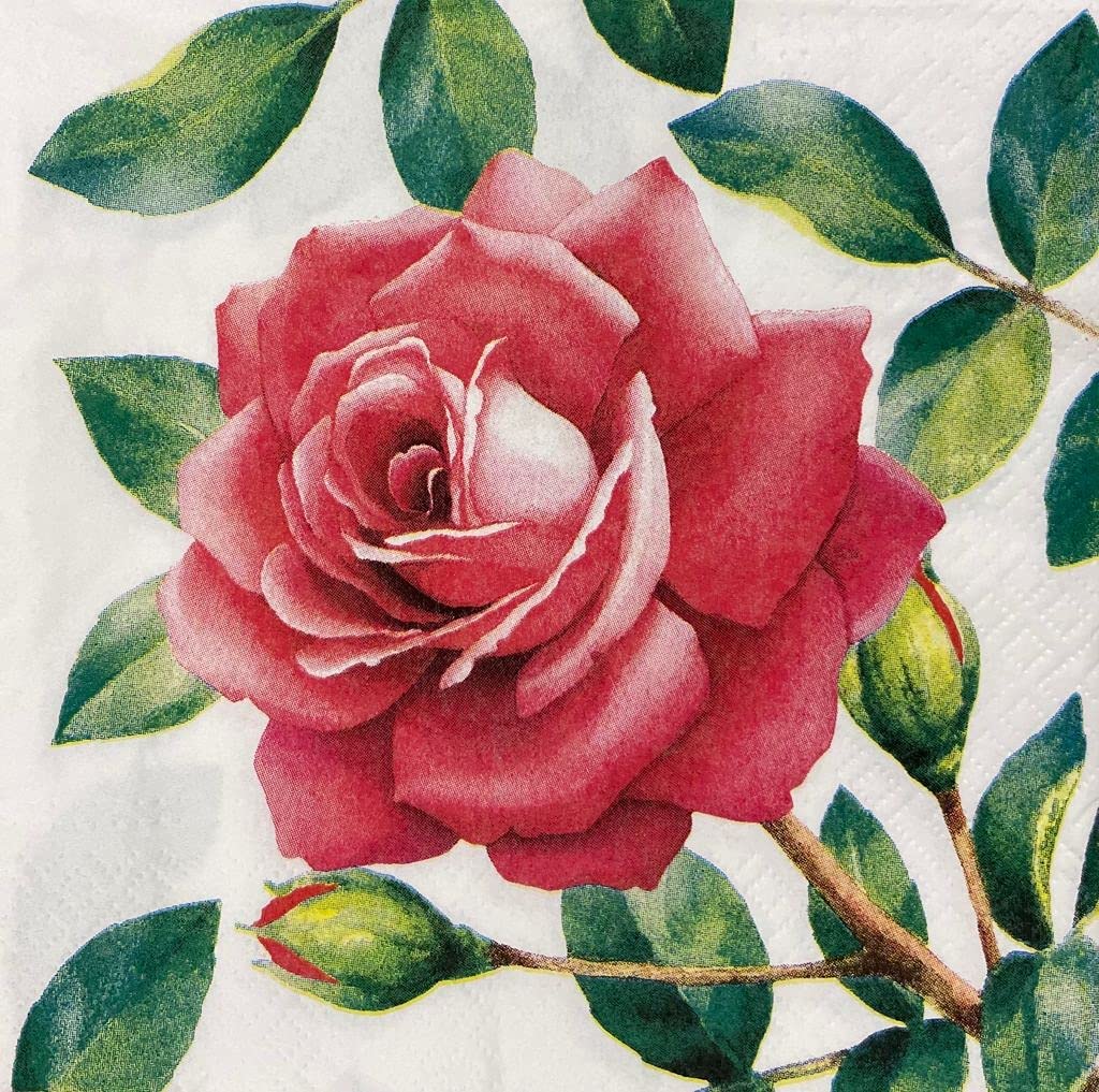 Rose Paper Luncheon Napkins 20 Pack #5168