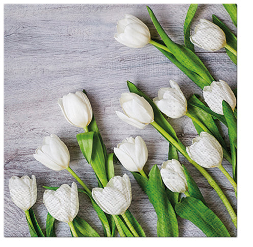 Tulips Paper Luncheon Napkins 20 Pack #5173
