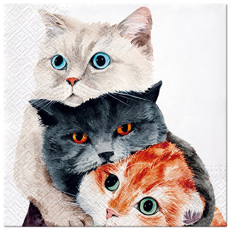 Cats Paper Luncheon Single Napkins #1016