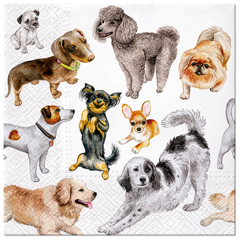 Animal Paper Luncheon Single Napkins #1026