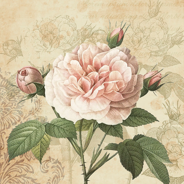 Peony Paper Luncheon Napkins 20 Pack #5166