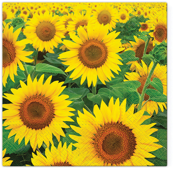 Flower Paper Luncheon Napkins 20 Pack #5014