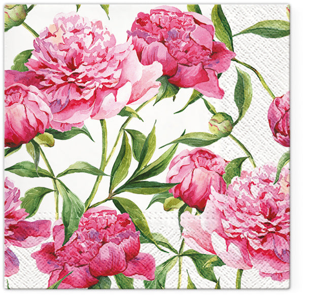 Flowers Paper Luncheon Napkins 20 Pack #5120